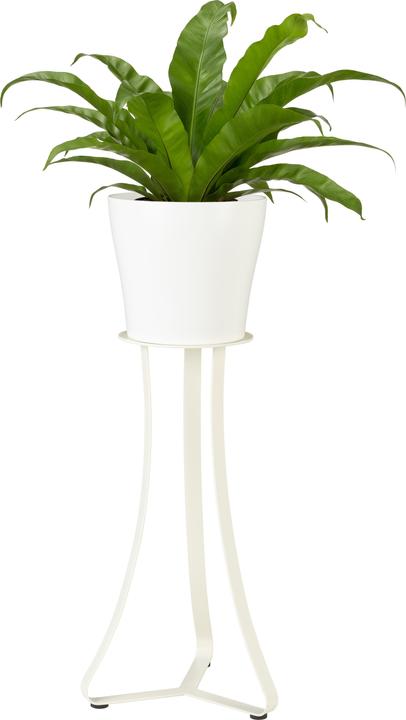 Actual product image Scheurich Paris 51, plant stand/flower stand/flower pot stand/post made of metal Colour: White