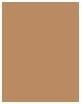 Produktbild Estée Lauder Pure Color Envy (040 Medium Matte)