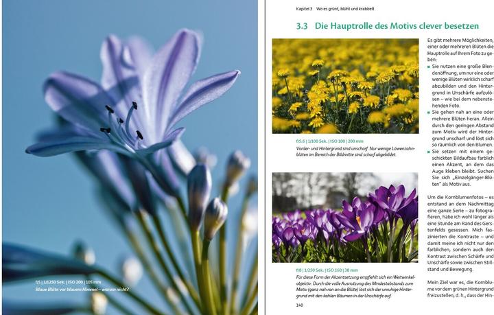 Actual product image Bessere Fotos - leicht gemacht! (German, Beate Zoellner, 2015)