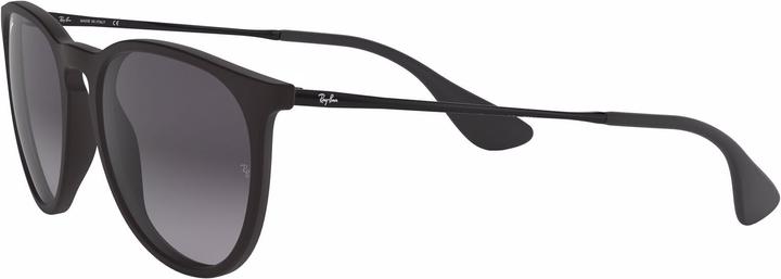 Actual product image Ray Ban Erika