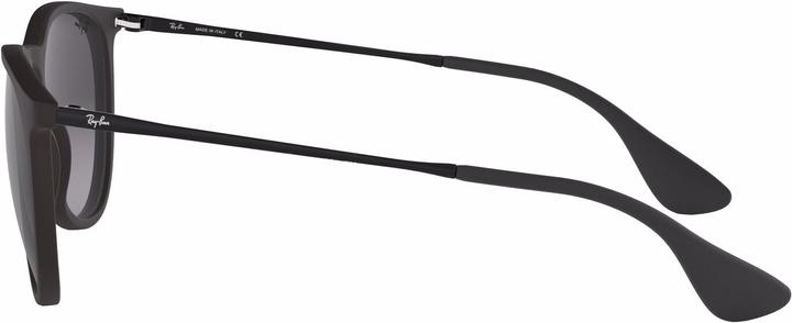Actual product image Ray Ban Erika