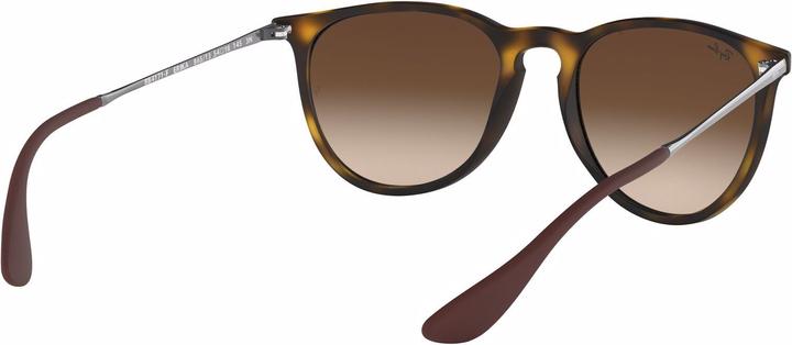 Actual product image Ray Ban Erika