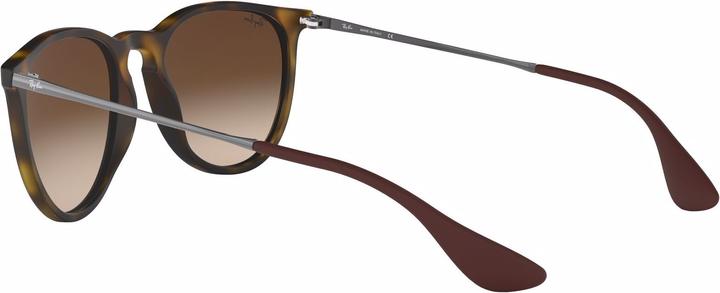 Actual product image Ray Ban Erika