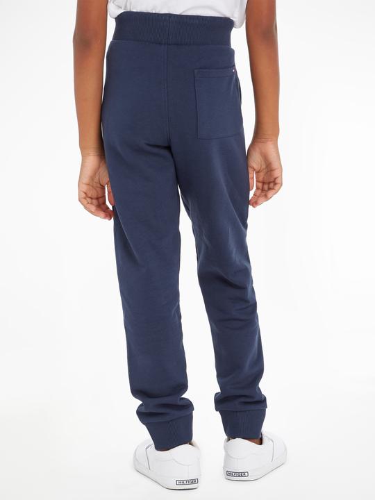 Actual product image Tommy Hilfiger Sweathose (92)