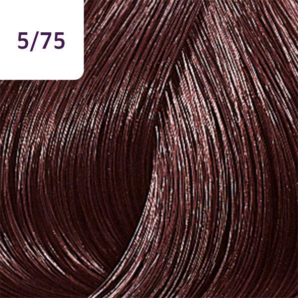 Immagine prodotto Wella Tocco di colore Marroni profondi (5/75 marrone chiaro marrone-magogna)