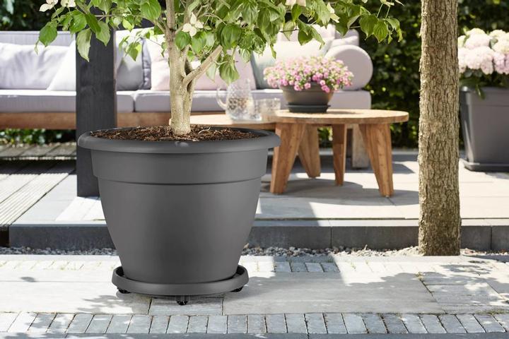 Image du produit Elho Dessous de plat à roulettes 30 cm anthracite