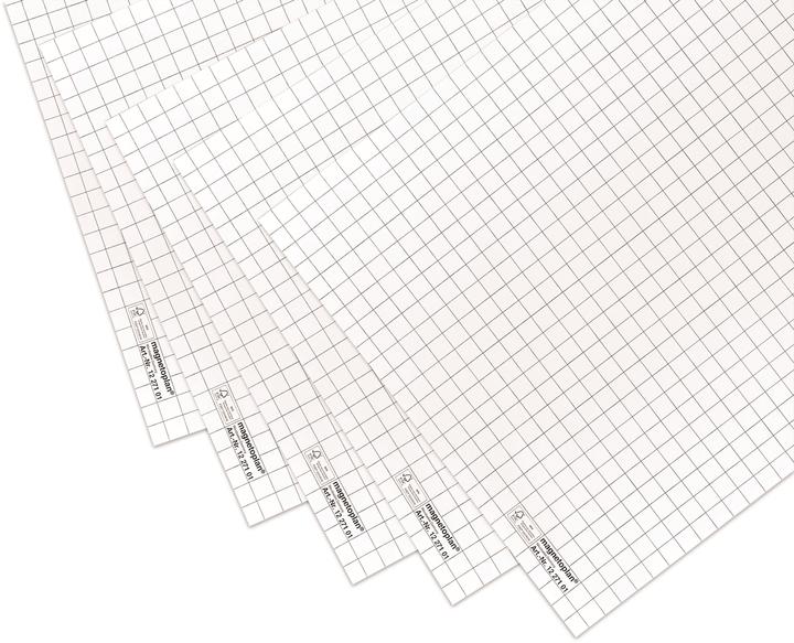 Actual product image Magnetoplan Flipchart EVOLUTION plus (70 x 100 cm)