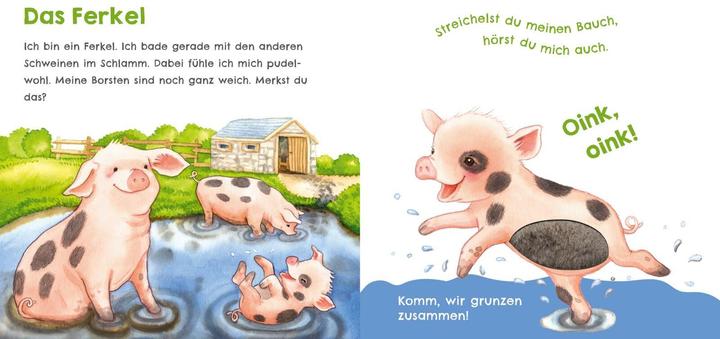 Immagine prodotto Hör mal, wie ich schnattern kann (Mein erstes Streichel-Soundbuch 1) (Tedesco)