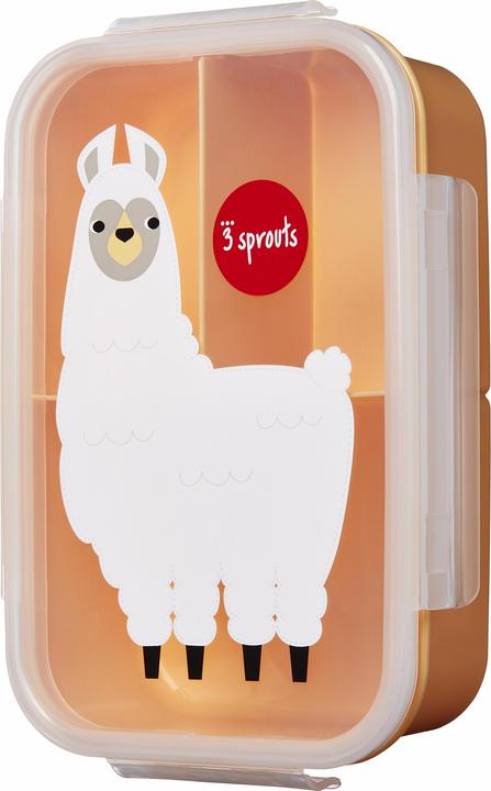 Actual product image 3 Sprouts lunch box