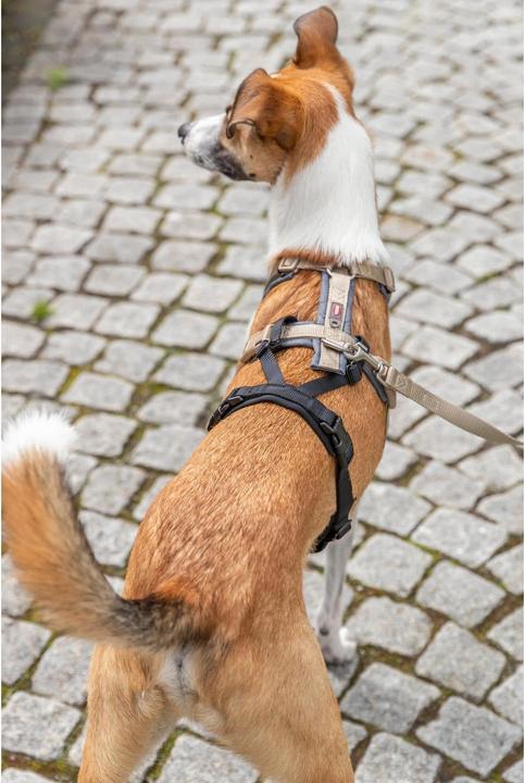 Produktbild Trixie Panik-Adapter Stay für Geschirre M-L (Hund, Allgemein)