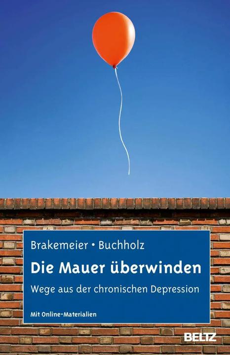 Actual product image Die Mauer überwinden (German, Eva-Lotta Brakemeier, Angela Buchholz, 2013)