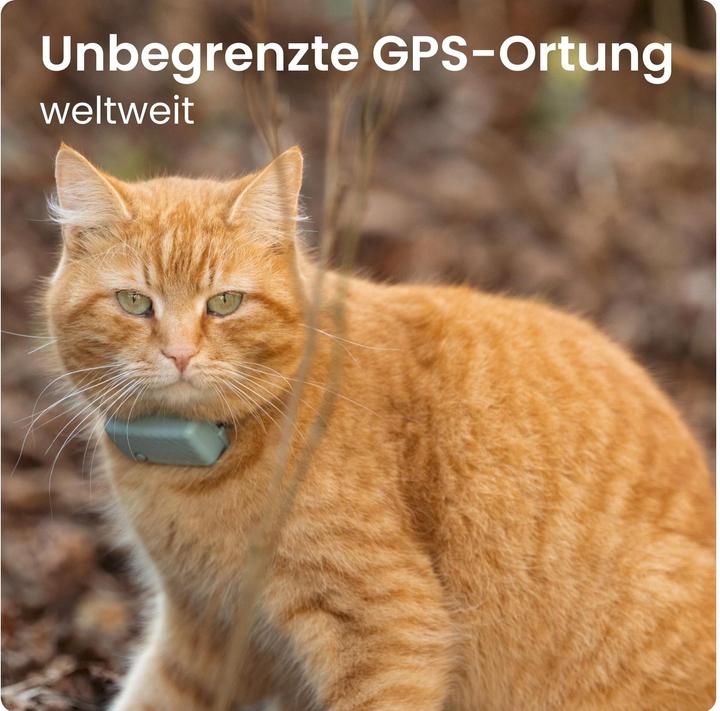 Productafbeelding Tractive GPS CAT Mini - mint (Eén maat voor iedereen, Kat, Algemeen)
