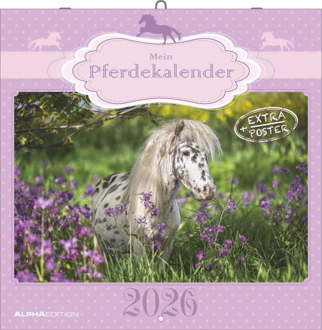 Image du produit Alpha Edition Mein Pferdekalender 2026 - Broschrenkalender 30x30 cm (30x60 geffnet) - Kalender mit Platz fr N (30 x 30 cm, Couverture rigide, Allemand)