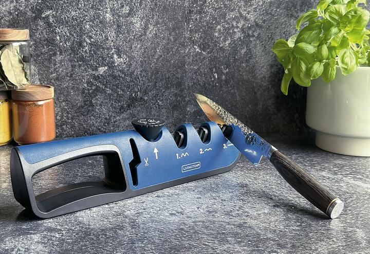 Image du produit Livington Aiguiseur de couteaux