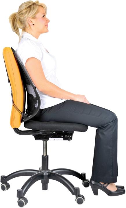 Produktbild Fellowes Professional Rückenstütze