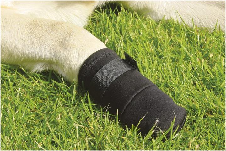 Produktbild Beeztees Bz Pfotenschutz Schwarz XXL 2 (Hund)