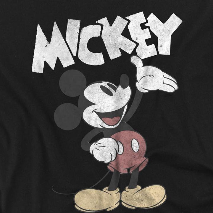 Actual product image Disney Mens Mickey & Friends Washout T-Shirt (4XL)