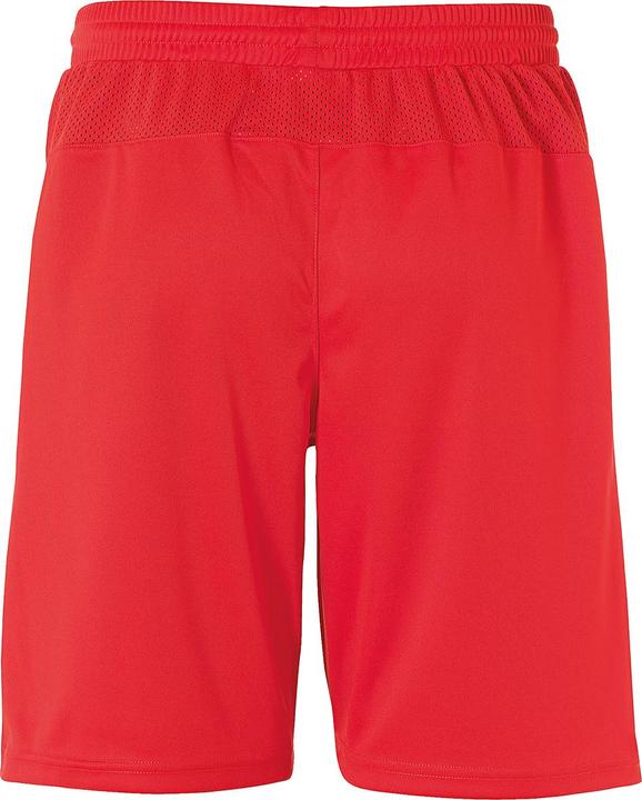Actual product image Uhlsport PERFORMANCE SHORTS (116)
