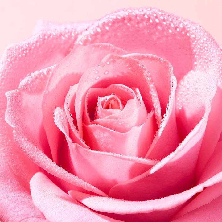 Actual product image Nuxe Very Rose Radiance Face Scrub (Exfoliation, 75 ml)