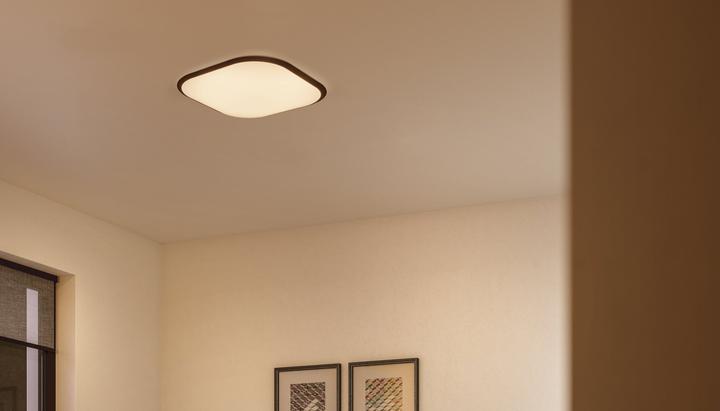 Actual product image Philips Canaval (1500 lm)