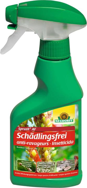 Neudorff Spruzit AF pest free (Harmful insects)