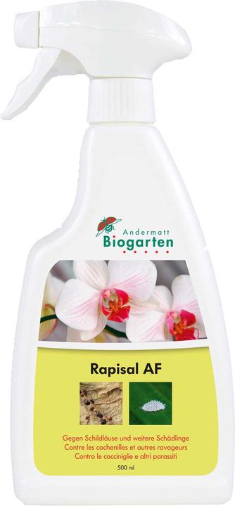 Produktbild Andermatt Biogarten Rapisal AF (Schildläuse, Birnblattsauger, Spinnmilben, Buchsbaumblattfloh, Thripse, Zykaden, Weissen Fliegen, Blattläuse)