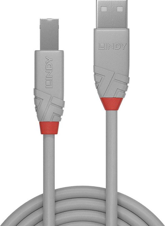 Produktbild Lindy USB/A-USB/B M-M (3 m, USB 2.0)
