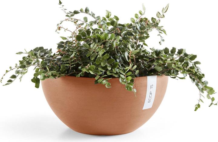 Actual product image Ecopots Brussels