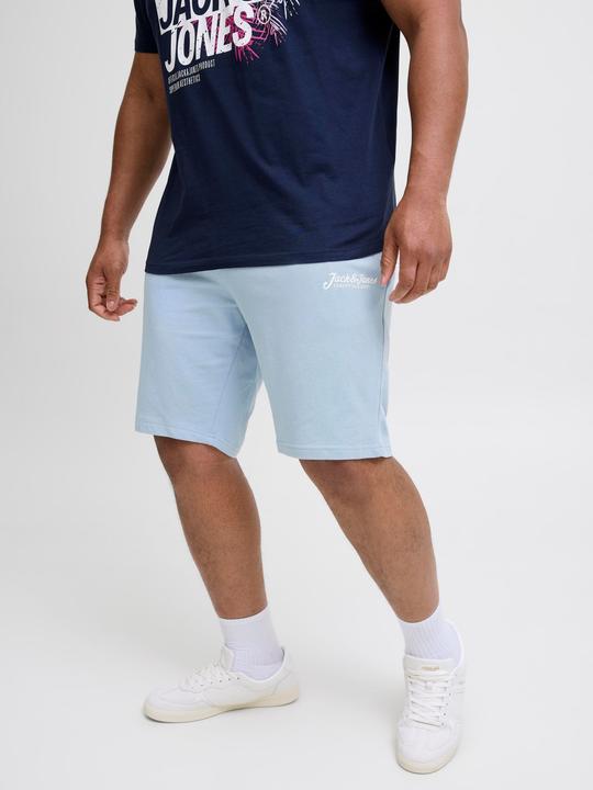 Produktbild Jack & Jones Plus Size Regular Fit Regular Fit Shorts Regular Fit Shorts (44)