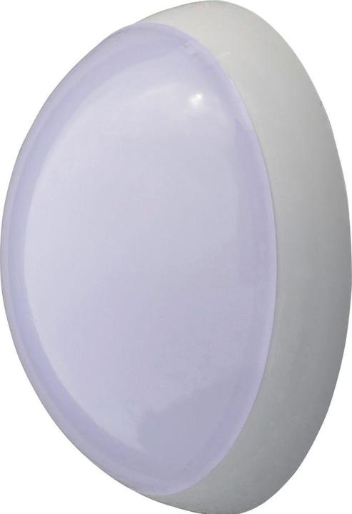Actual product image Z-Licht Miniblanco 10W IP65 820lm (820 lm)