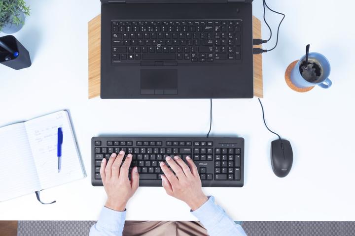 Produktbild Trust Primo Tastatur USB QWERTY US Englisch Schwarz (US, Kabelgebunden)