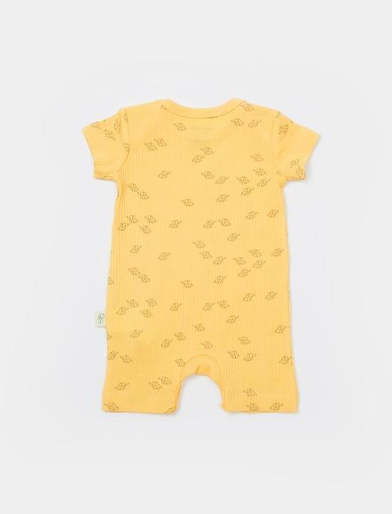 Actual product image BabyCosy 2 Pcs short sleeved Rompers (62)