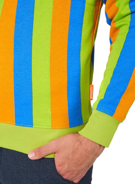 Actual product image OppoSuits – Sesamstrasse Bert Pullover (S)