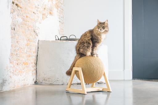 Actual product image Designed by Lotte Xem (35.50 cm, Brown)