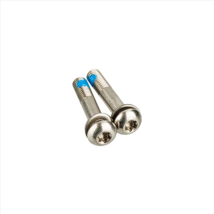 Actual product image Sram Bracket Mounting Bolts T25 Stainles 22mm Flatmount