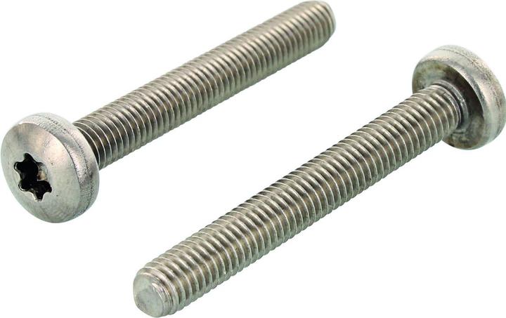 Actual product image OK-Line Flachkopfschr. TX20, A2, M4x20 (500 Screws per piece)