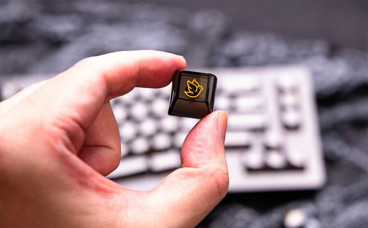 Image du produit Akko ASA Clear Printed Keycap