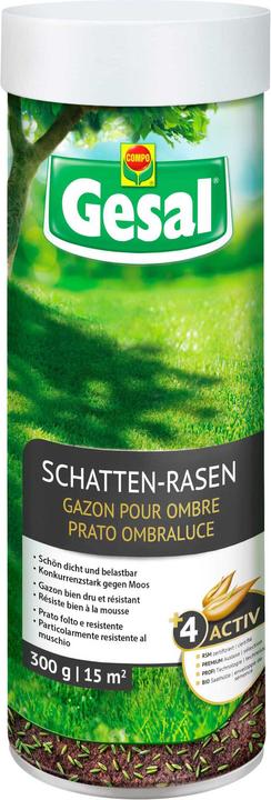 Image du produit Gesal Schatten-Rasen (Réensemencement de la pelouse)