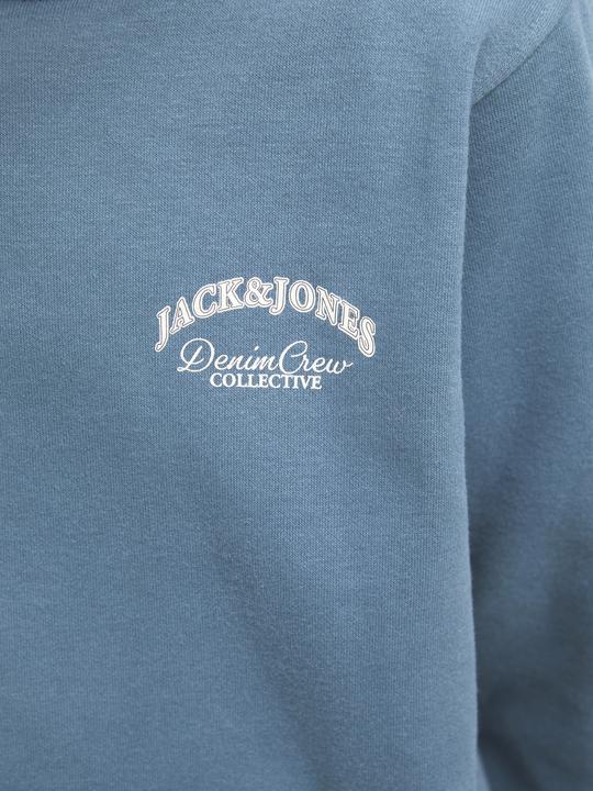 Image du produit Jack & Jones Jjebrandes Backp Relaxed Sweat H Sn Jnr (128)