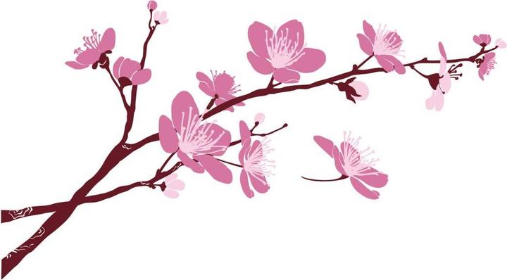 Produktbild Trenddeko Kirschblüten 03 (180 x 99 cm)