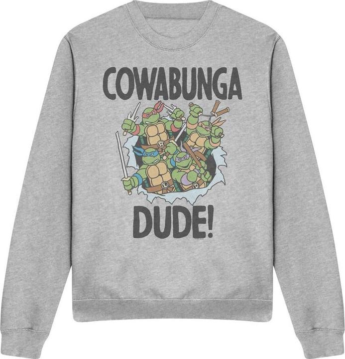 Produktbild Teenage Mutant NT Cowabunga Dude Sweatshirt (M)