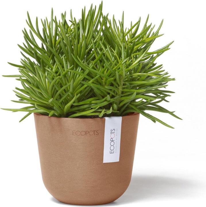 Produktbild Ecopots Oslo Mini (11.50 cm)