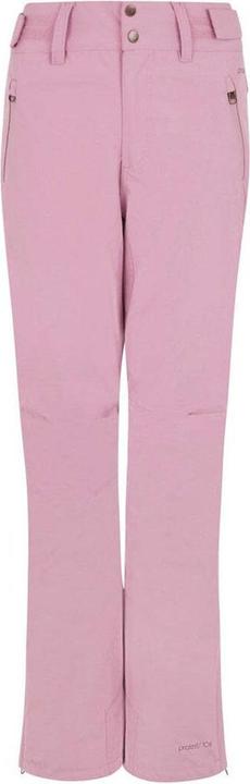 Image du produit Protest CINNAMON snowpants (L)