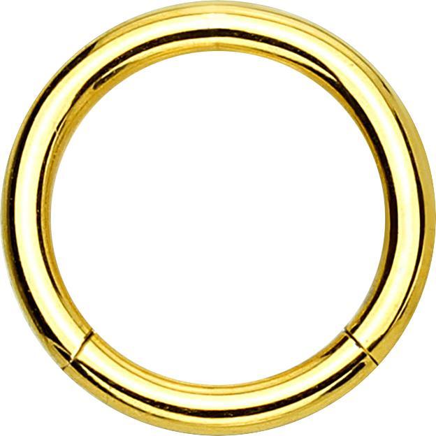 Star Piercing Segmentring klappbar vergoldet (ohne Messing, Titan G23)