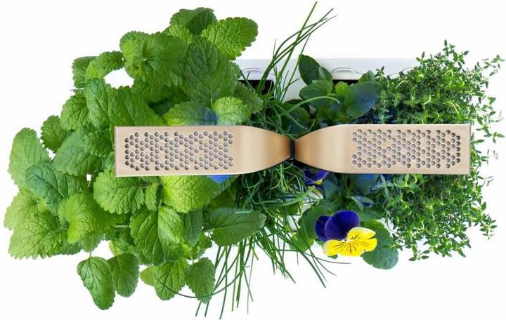 Actual product image Véritable Smart (18.50 cm)