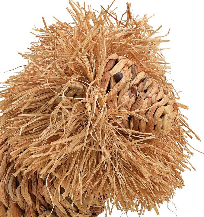 Immagine prodotto Natura Punto Figura Deco Leone di giacinto d'acqua