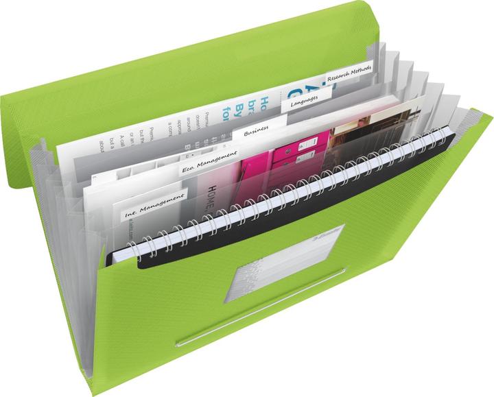 Actual product image Esselte Project File VIVIDA (A4, 1 x)