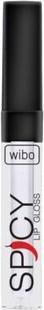 Wibo WIBO Spicy Lip Gloss błyszczyk do ust 21 3ml