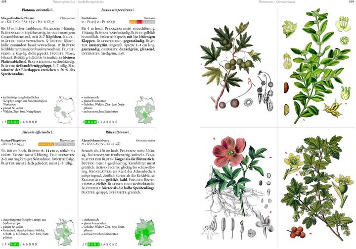 Immagine prodotto Die Flora von Deutschland. Alle heimischen Arten. (Tedesco, Oliver Tackenberg, 2022)