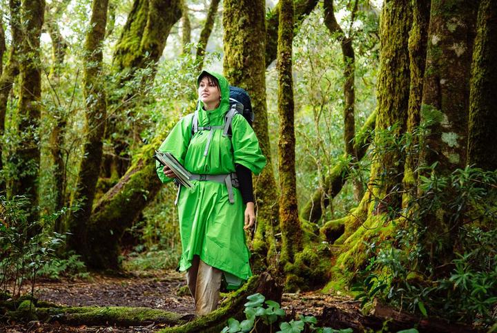 Actual product image Sea To Summit Tarp Poncho (One size)